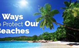 8 ways to protect our beaches