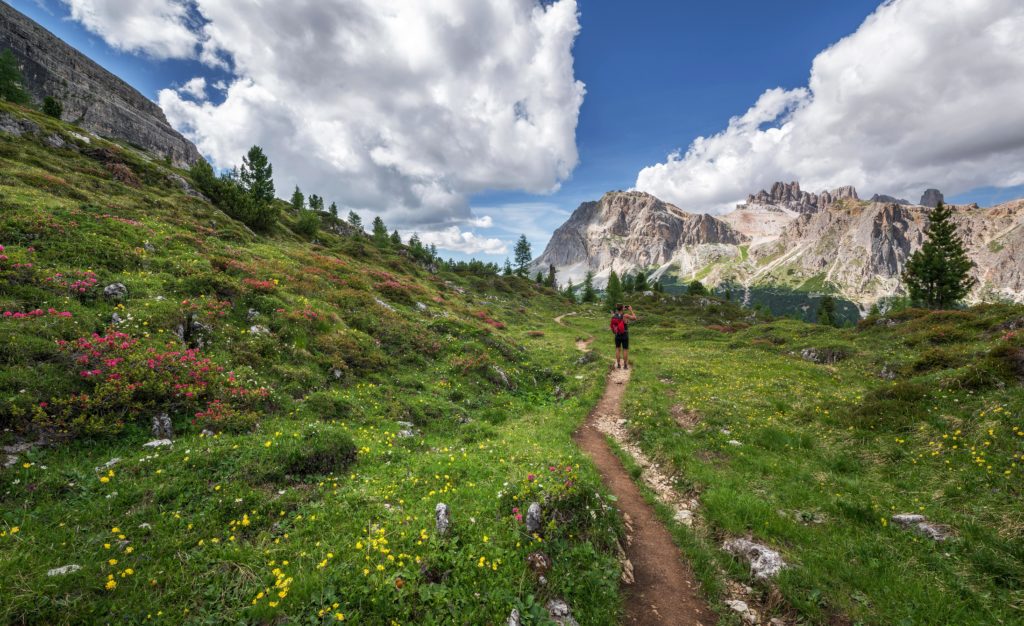 adventure alps backpack backpacker