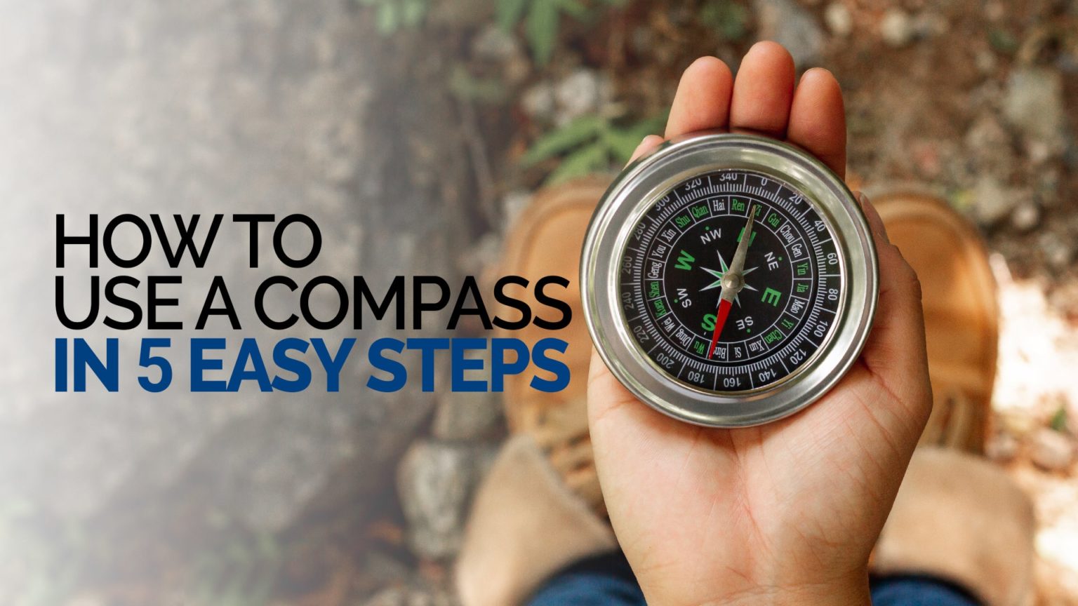 How to use a compass in 5 easy steps