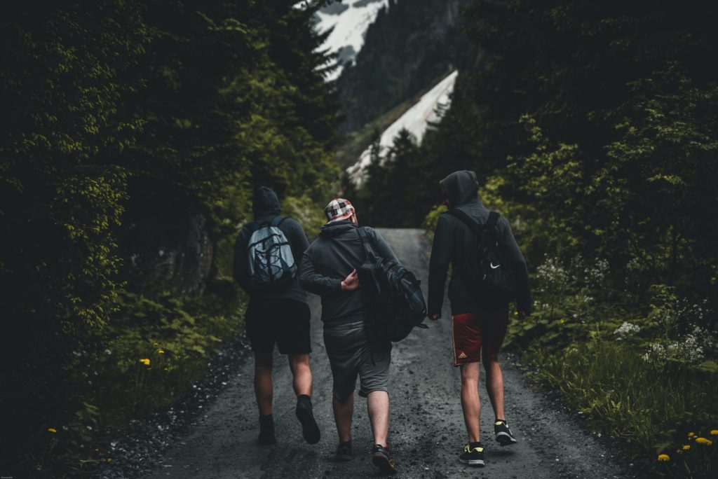 three men walking on road between tall trees