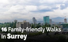 16 Family-friendly Walks In Surrey