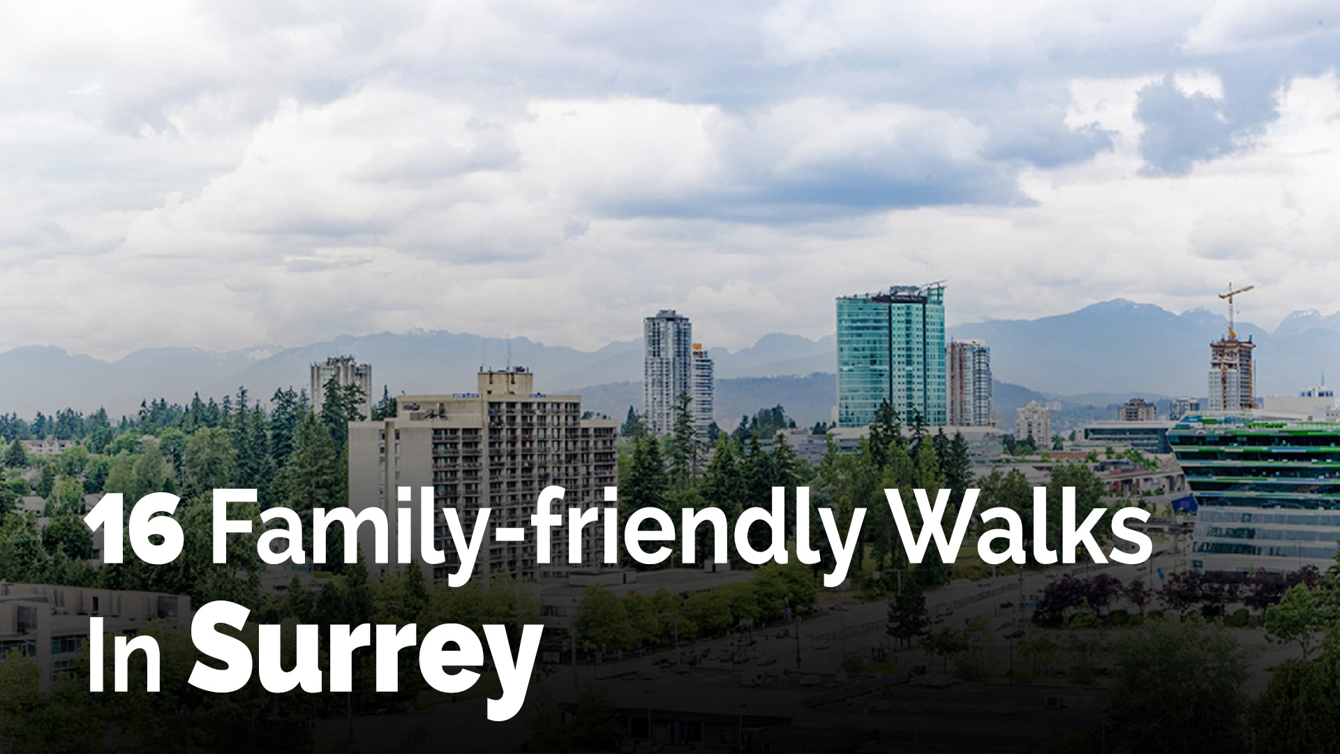 16 Family-friendly Walks In Surrey
