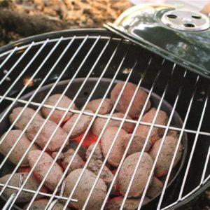 Easy Camp Adventure Grill Green showing charcoals