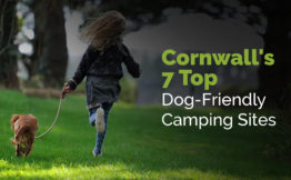 Cornwall's 7 Top Dog-Friendly Camping Sites