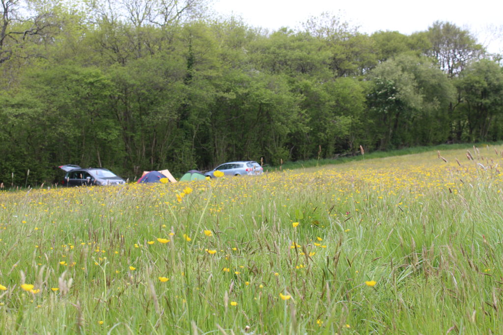 Chapel House Farm, Herefordshire camping field