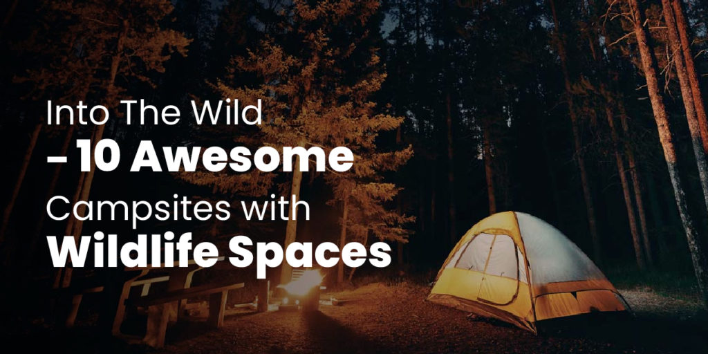 Into The Wild – 10 Awesome Campsites with Wildlife Spaces