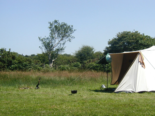 South Penquite Farm tent