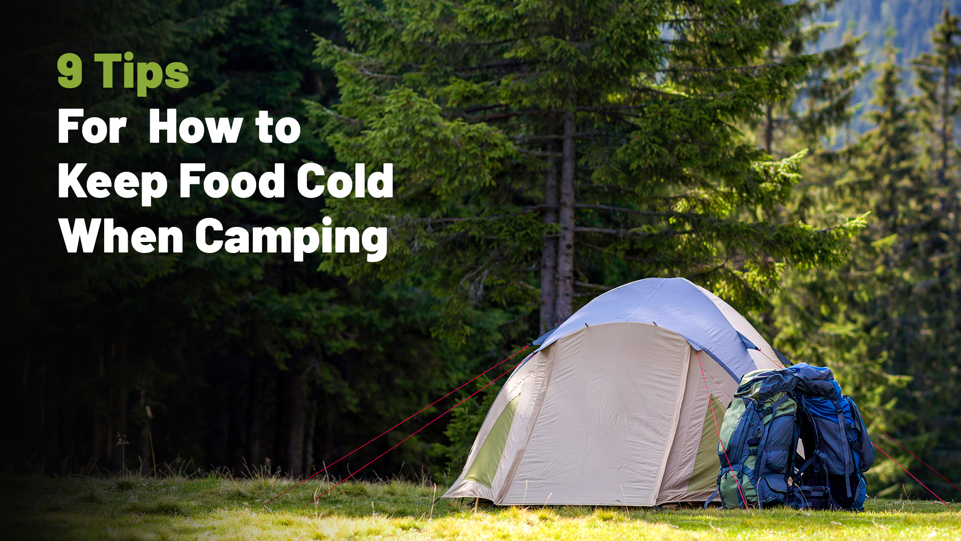 9 Tips For How to Keep Food Cold When Camping