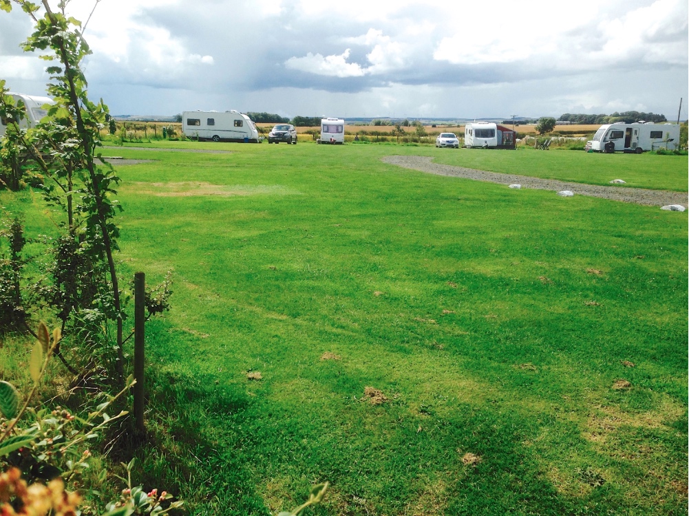 Westfield Paddock Caravan Site 2