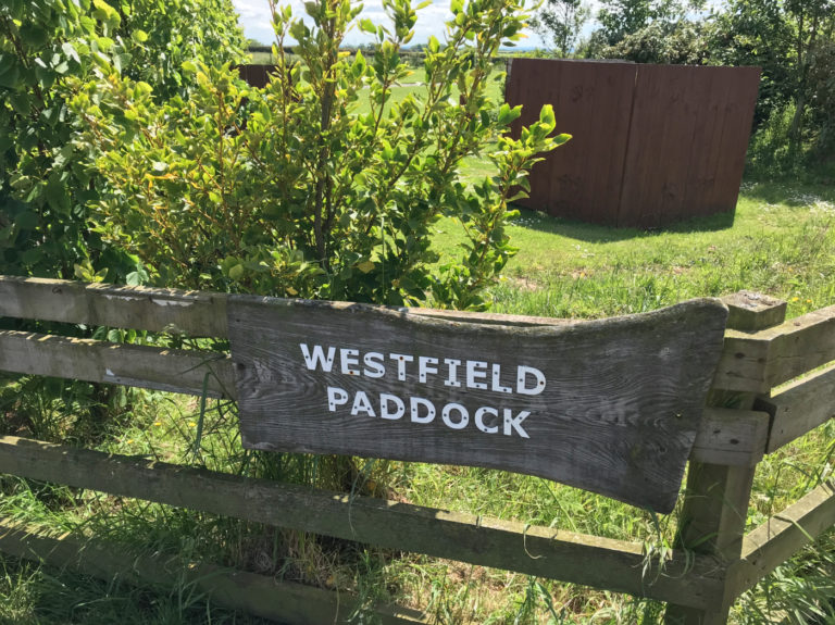 Northumberland Top 10 Adult Only Camping and Caravan Sites The Expert