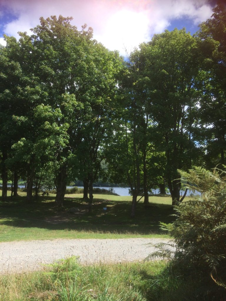 Coniston Water campsite