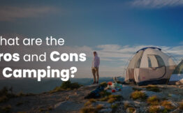 what are the pros and cons of camping
