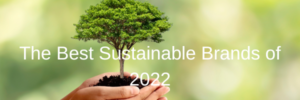 The Best Sustainable Brands of 2022