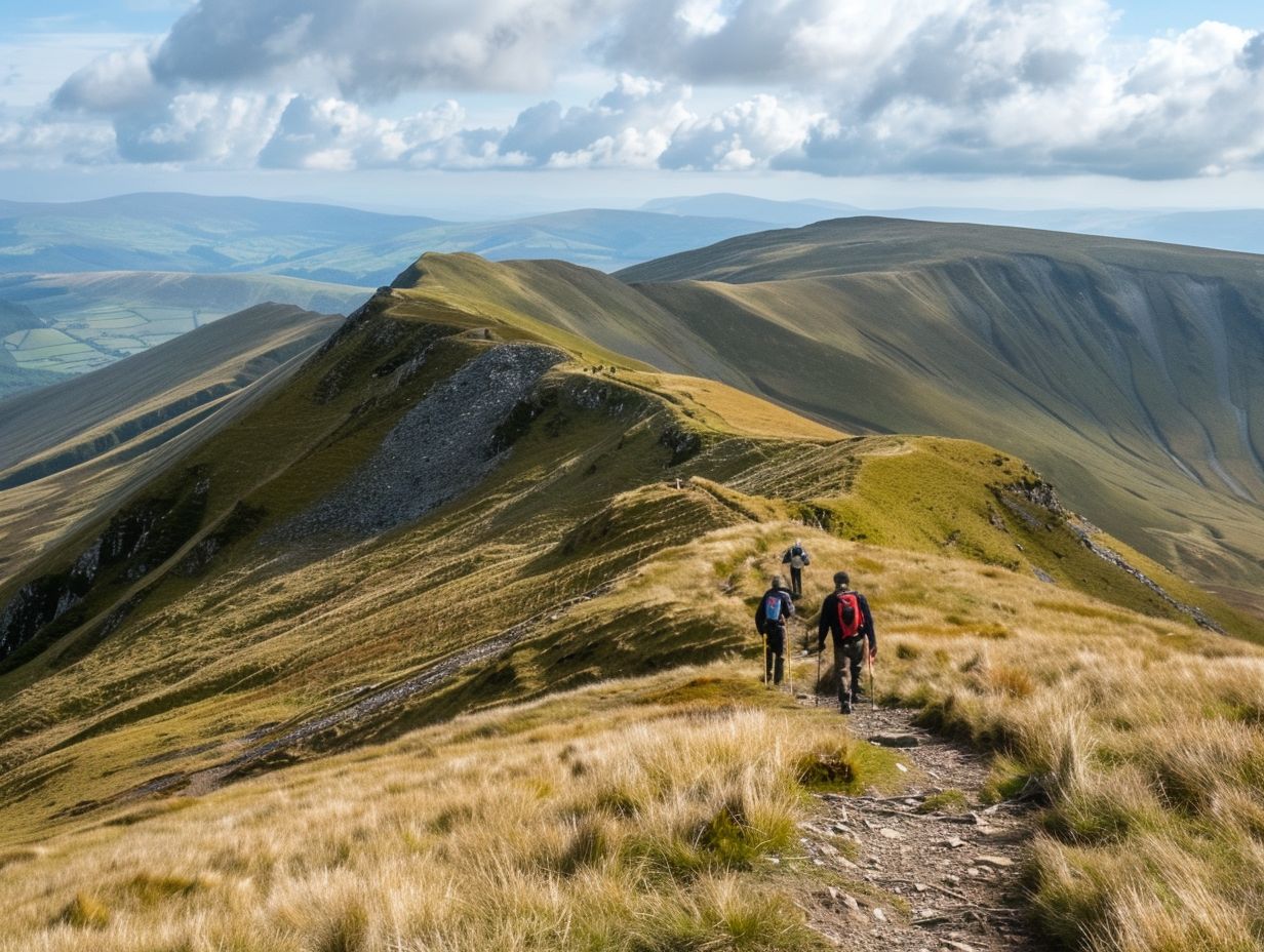 4. Craggy Gardens Trail