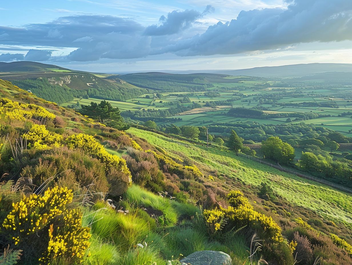 What Essentials Should You Bring on a Hike in the North York Moors?